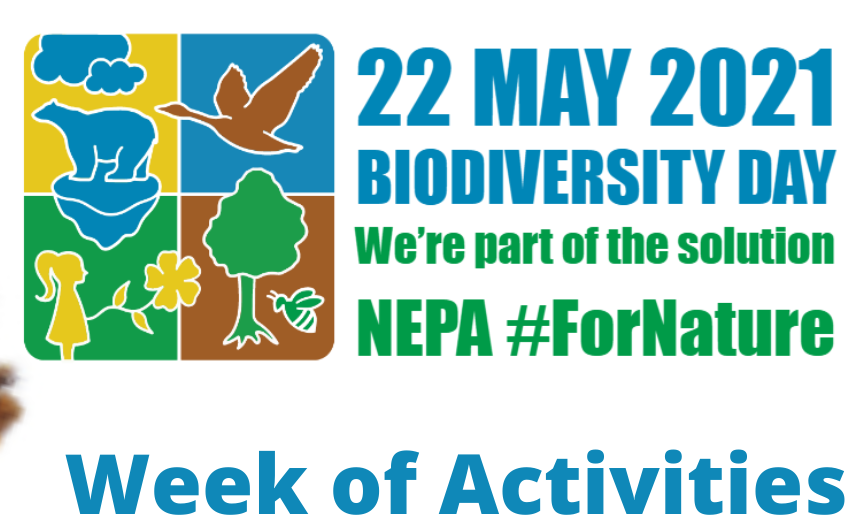 Schedule of Activities-Int'l Day for Biological Diversity