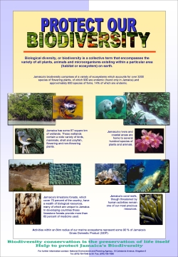 protect-our-biodiversity