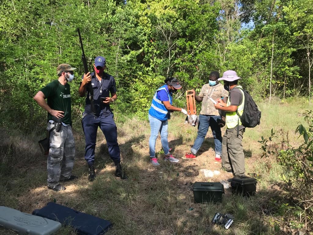 Photograph 1: NEPA Game Wardens and members of the Jamaica Constabulary Force conducting monitoring activities during the 2020 Game Bird Shooting season in Bryan’s Castle, Trelawny.