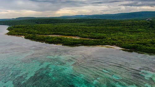 Coral Spring- Mountain Spring Protected Area