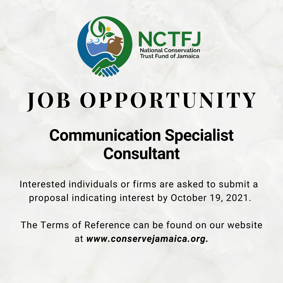 Job Opportunity: Communication Specialist