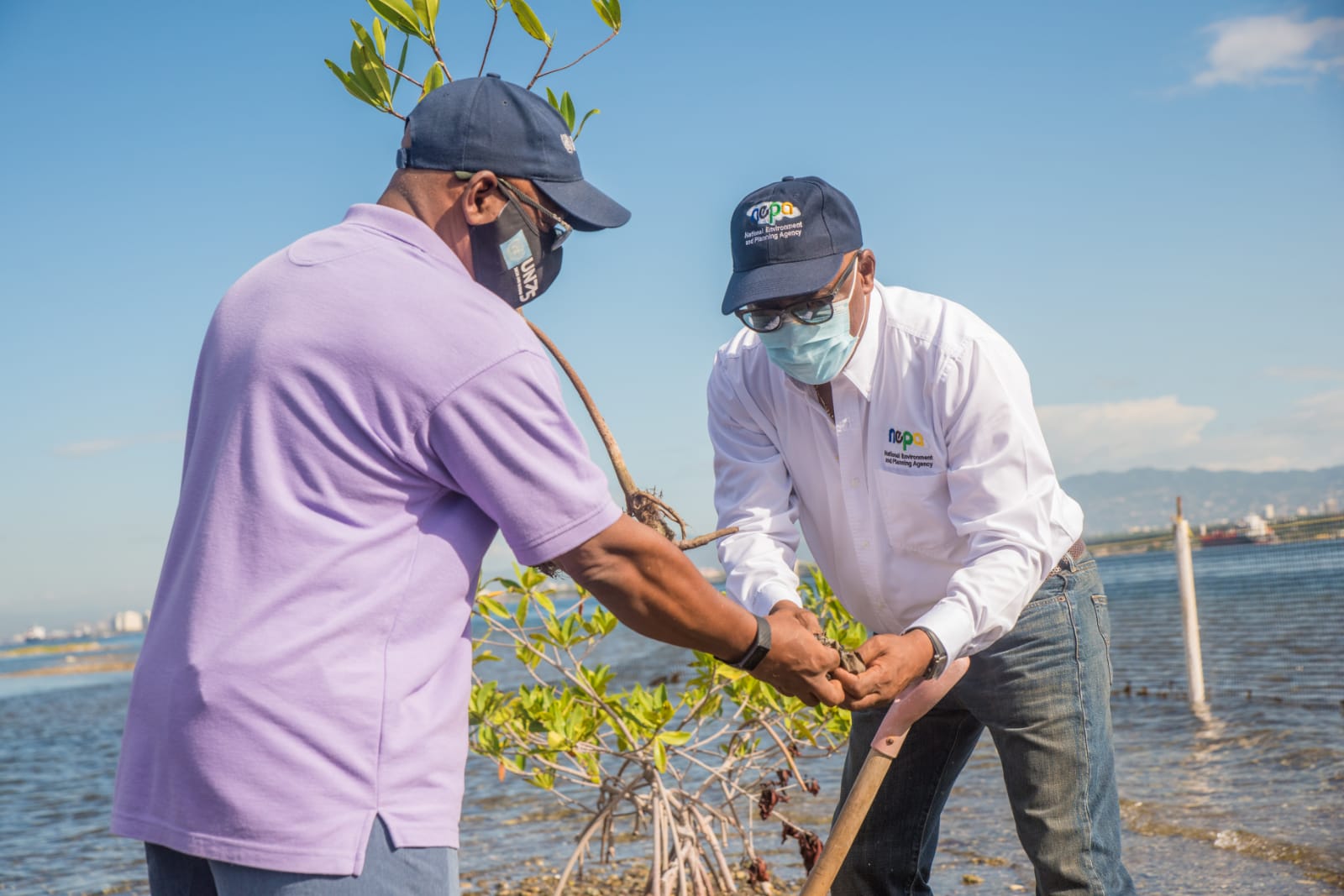 Peter Knight (right), CEO and Government Town Planner, NEPA; Vincent Sweeney, Mr Vincent Sweeney (left) - Head, Caribbean Sub-Regional Office, United Nations Environment Programme preparing to plant a red mangrove along the Palisadoes Strip in the Port Royal protected Area and Ramsar Site on June 4, 2021.  