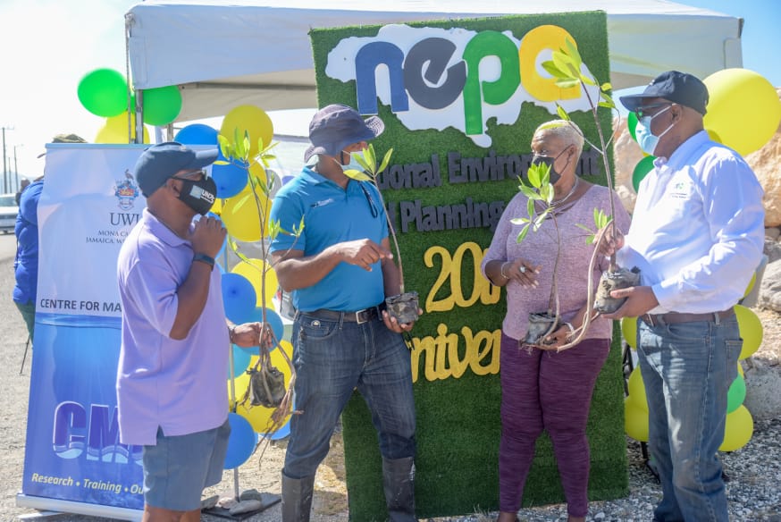 Peter Knight (right), CEO and Government Town Planner, NEPA; Vincent Sweeney, (left) - Head, Caribbean Sub-Regional Office, United Nations Environment Programme and Camilo Trench (2nd left) Chief Scientific Officer, Discovery Bay Marine Laboratory and Field Station and Lorraine Dobson (2nd right), Cllr. Springfield Division engage in a discussion concerning why red mangroves were chosen for the mangrove activity along the Palisadoes Strip on June 4, 2021.  