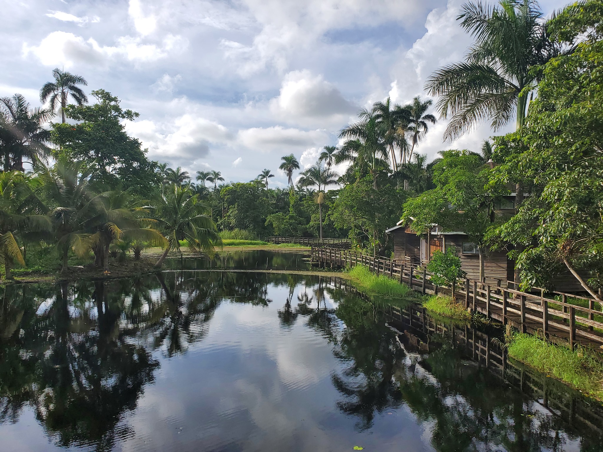 Royal Palms Nature Reserve