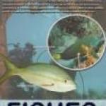 palisadoes-fish