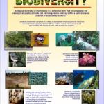 protect-our-biodiversity