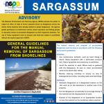 nepa-Advisory